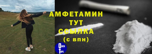 гидропоника Гусиноозёрск
