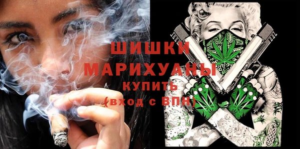 гидропоника Гусиноозёрск