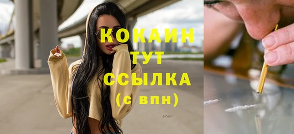 соль ск Гусь-Хрустальный