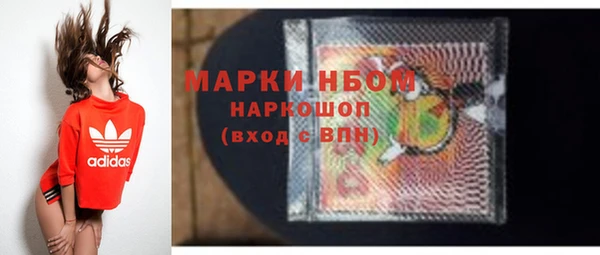 гидропоника Гусиноозёрск