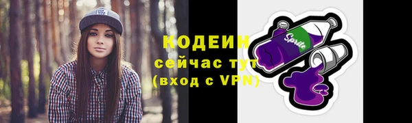 гидропоника Гусиноозёрск